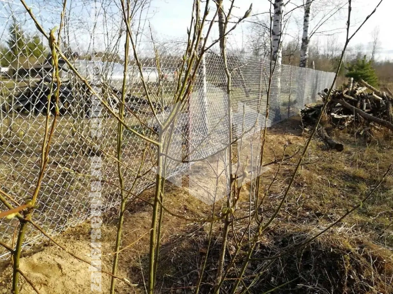 Забор из сетки рабицы с проволокой 60 метров