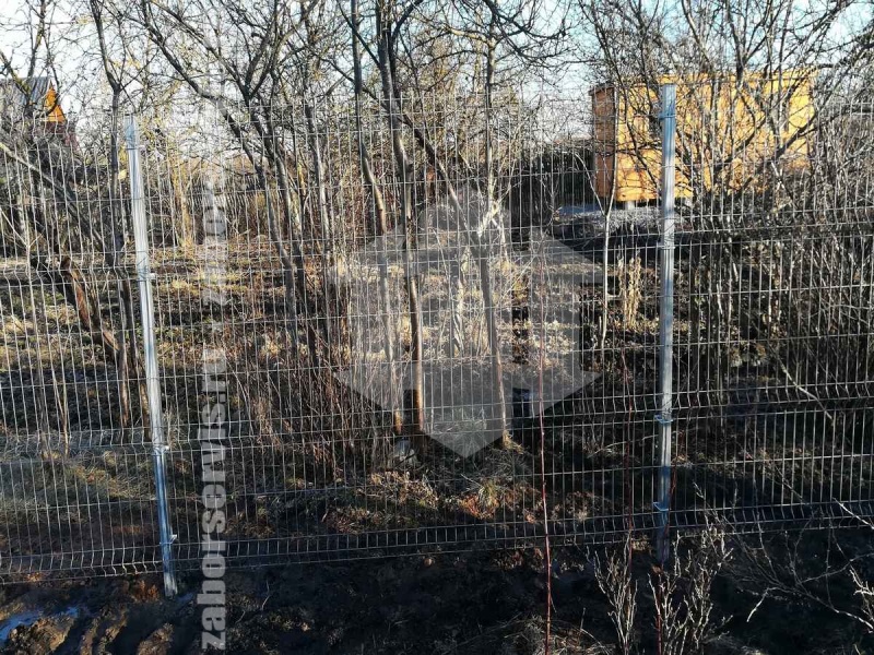 3D забор 8 соток 6мм